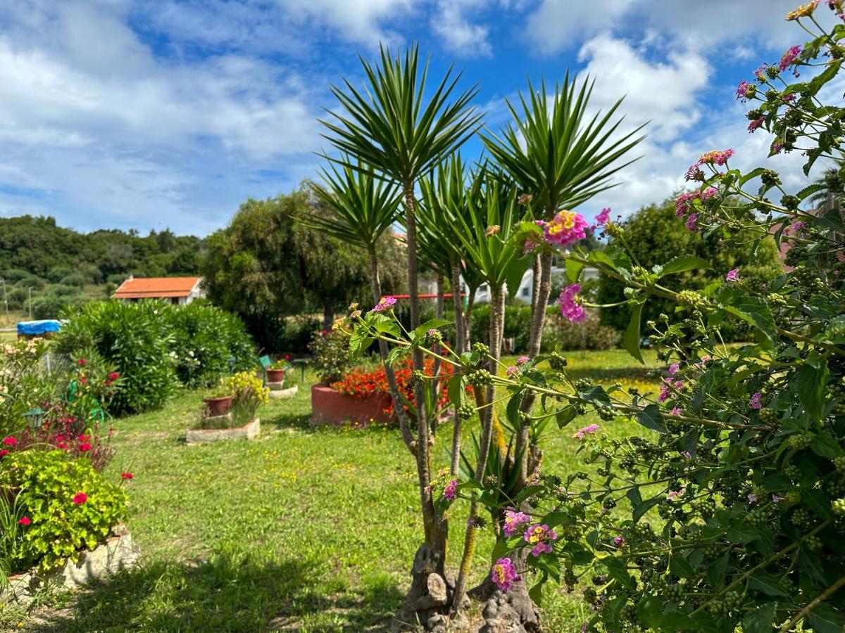 Irene Apartament Arillas (Corfu)